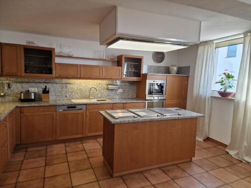 a kitchen with wooden cabinets and a counter top at Ferienhaus Lisette Wohlfühldomizil zwischen Rebenmeer und Pfälzer Wald in Haßloch