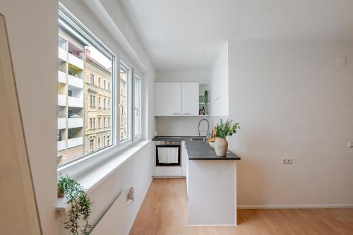 City Studio beim Grazer Augarten