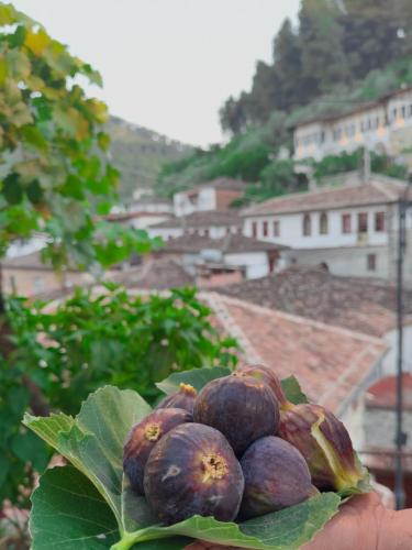 a hand holding a bunch of figs on a leaf at Nika's Guest House in Berat