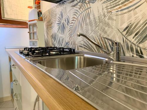 a kitchen with a stainless steel sink and a stove at Old Porlezza Apartment in Porlezza