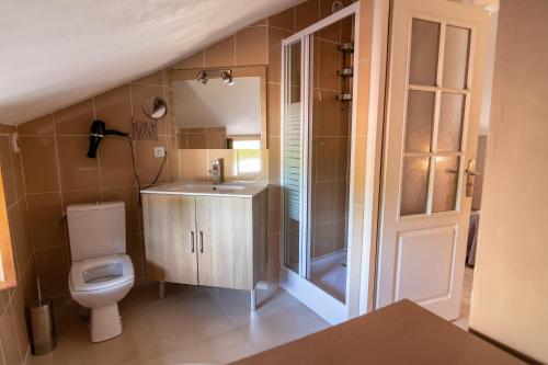 a bathroom with a toilet and a sink and a shower at Gîte Lunaben-Maison en pierres avec piscine in Forges