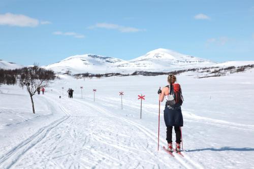 a woman is standing on skis in the snow at Bruksvallslidens förmedling in Bruksvallarna