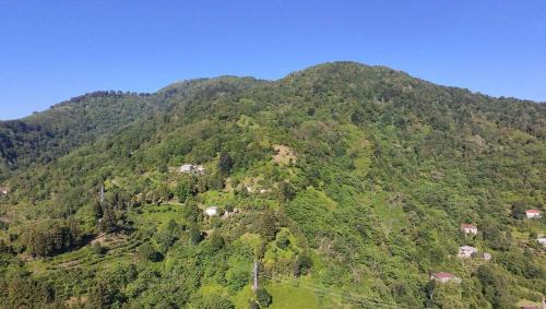 an aerial view of a mountain with houses on it at In the Forest in K'vemo Jocho