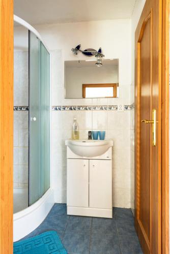 a bathroom with a sink and a glass shower at Penzion U Zámeckého parku in Žihobce