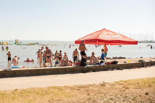 Hostia v ubytovaní Vadkacsa Panzio