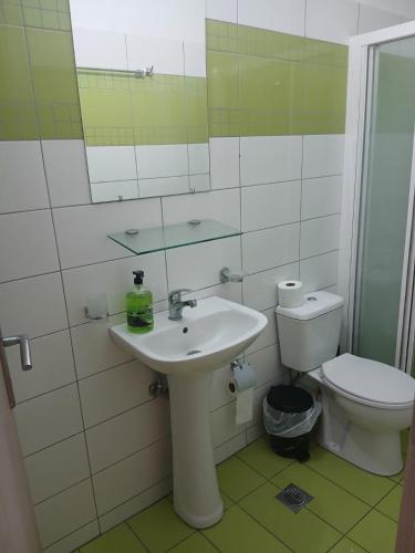 a bathroom with a sink and a toilet at Blue Sky Apartment in Chrysi Ammoudia