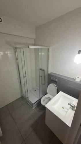 a bathroom with a shower and a toilet and a sink at Gościniec 