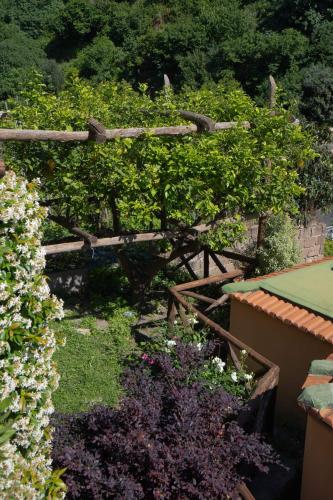 a garden with many plants and flowers and a fence at Le Case Di Rosella in Vico Equense