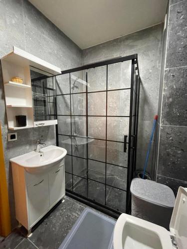 a bathroom with a shower and a sink and a toilet at J K E apartments in Prishtinë