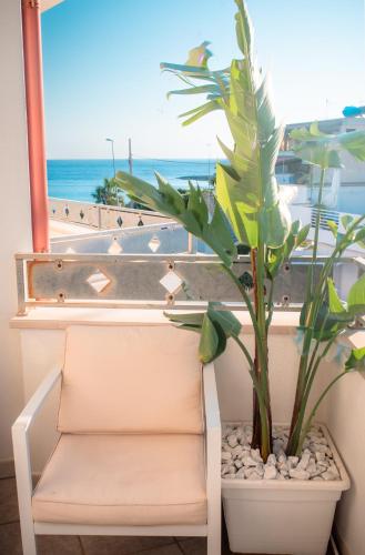 a plant sitting on a window sill next to a chair at Leo Rooms & Sea in Torre San Giovanni Ugento