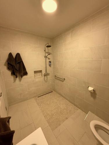 a bathroom with a shower and a toilet at O'Neill's Bed&Breakfast in Ballyheigue