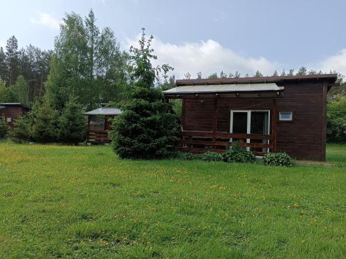 a small cabin in a field with a grassy yard at Domki Sosnowa Dolina in Wiele