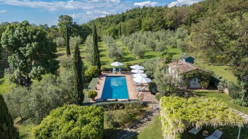 an aerial view of the estate with a swimming pool and umbrellas at Podere San Regolo in Scansano
