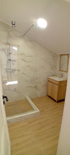 a bathroom with a shower and a sink at Vila Onur Techirghiol in Techirghiol