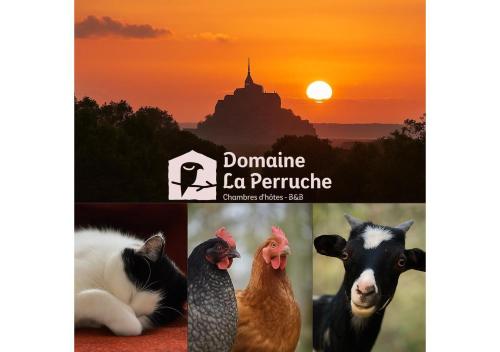 Domaine La Perruche Parenthèse poétique Vue Mont-Saint-Michel & Petit-déjeuner festin