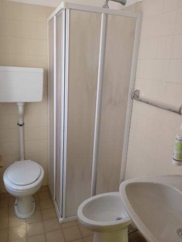 a bathroom with a shower and a toilet and a sink at Hotel Garden in Levico Terme