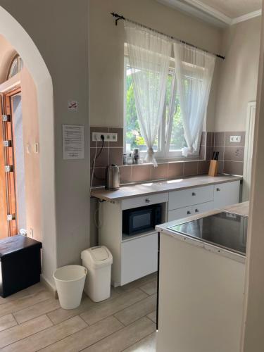 Kuchyň nebo kuchyňský kout v ubytování Regina Vendégház Miskolc