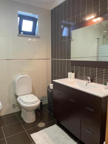 a bathroom with a toilet and a sink and a mirror at Campeã Valley in Campeã
