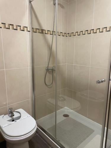 a bathroom with a shower with a toilet and a sink at Campeã Valley in Campeã