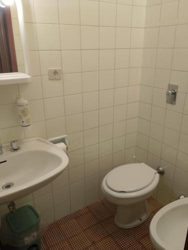 a bathroom with a white toilet and a sink at Hotel Garden in Levico Terme