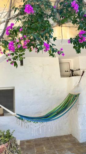 a hammock hanging from a white wall with purple flowers at Casa Palma Gozo in Għarb