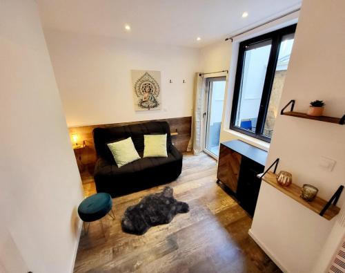 - un salon avec un canapé et un chien posé sur le sol dans l'établissement [Le Bartayres 1] T3 en souplex, terrasse, centrale, à Lourdes