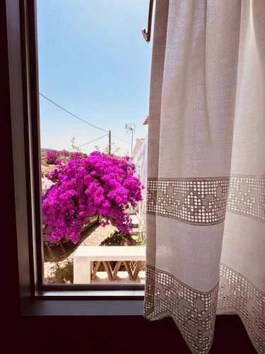 a window with a view of a bush of purple flowers at Casinha do Largo - Casas da Amieira in Amieira