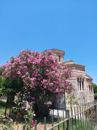 a tree with pink flowers in front of a building at Apartment Adriana Mon Repos in Anemómylos