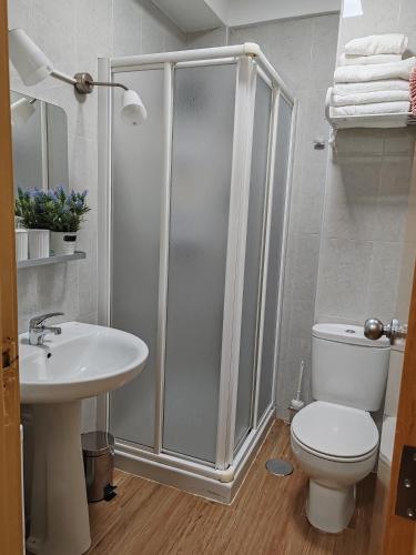 a bathroom with a shower and a toilet and a sink at Arenal confort in Marín
