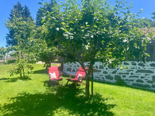 two red chairs sitting under a tree in a yard at Landurlaub bei Familie Haug in Freyung