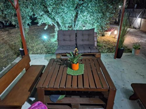 a chair sitting on a patio with a plant at Κτήμα Καρνέση in Edipsos