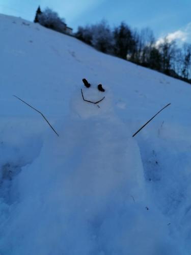 a smiley face drawn in the snow at Ferienhaus mit Berg-und Seesicht in Filzbach