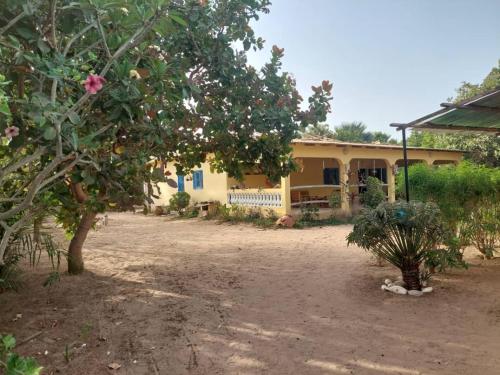 a yellow house with a tree in front of it at CAP NATURE Campement in Nialon