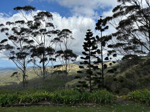 a group of trees on top of a hill at Maleny-Montville Cottages #2, 2 bed with ocean views in Balmoral Ridge
