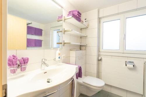 a bathroom with a sink and a toilet at Chalet Alpenheim 2 OG in Bettmeralp