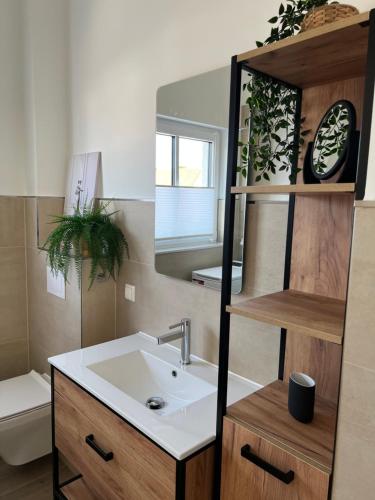 グロヴェにあるAloha Paradies erste Strandlinie mit direktem Meerblick im Neubau, Glowe, Ostseeの洗面台と鏡のあるバスルーム