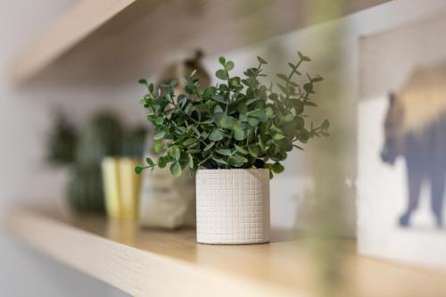 a white vase with a green plant on a counter at אלומה- בוטיק בטבע in Sheʼar Yashuv