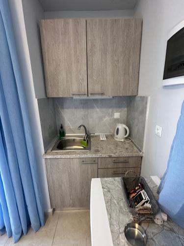 Kuchyň nebo kuchyňský kout v ubytování F&R Villa Studio 4