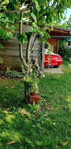a tree in a yard next to a house at Casa Lorelein in Pieve di Soligo