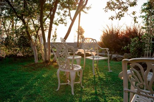 Ein Garten an der Unterkunft Dreamland Oasis