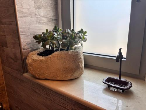 a plant sitting on a counter next to a window at Villa Katrinia in Sitia