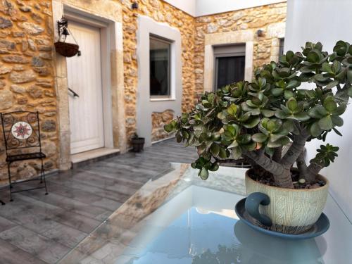 a potted plant sitting on a table in a room at Villa Katrinia in Sitia