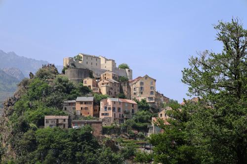 a village on the side of a mountain at Alivi Di A Restonica in Corte