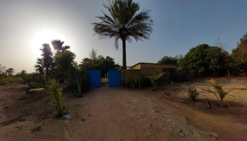 a dirt road with a palm tree and blue trash cans at CAP NATURE Campement in Nialon