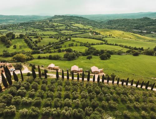 an aerial view of a green field with trees at TERRA - Saturnia tented lodges in Saturnia