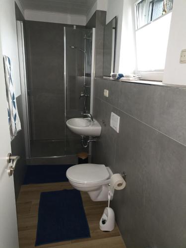 a bathroom with a toilet and a sink and a shower at Ferienwohnung Hermann in Sankt Aldegund
