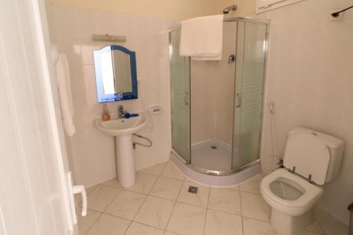 a bathroom with a shower and a toilet and a sink at Panoramic View Hotel in Lalībela