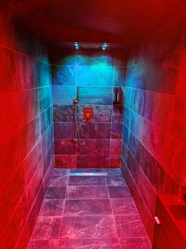 love room tesisinde bir banyo