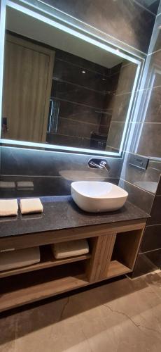 a bathroom with a sink and a mirror at Rosastays Hansi, Hisar in Hānsi