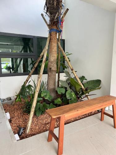 Κήπος έξω από το 2 Bed & 2 Bath Suite, 2nd floor